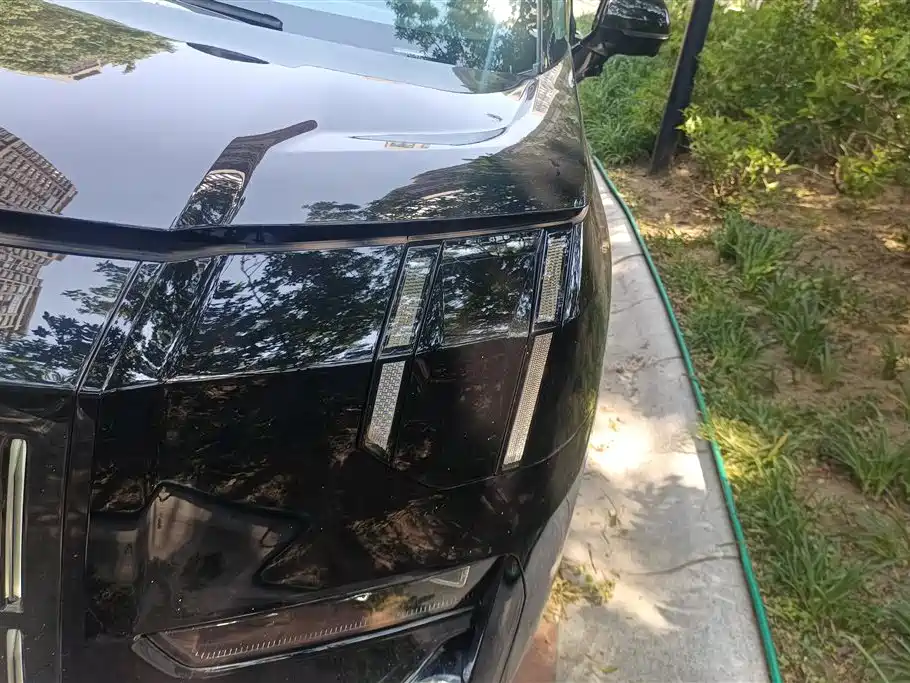 Zeekr 009