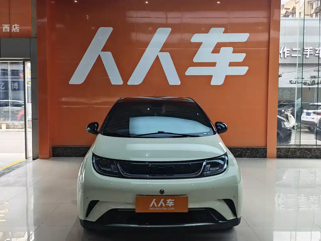 BYD Dolphin — миниатюра 2