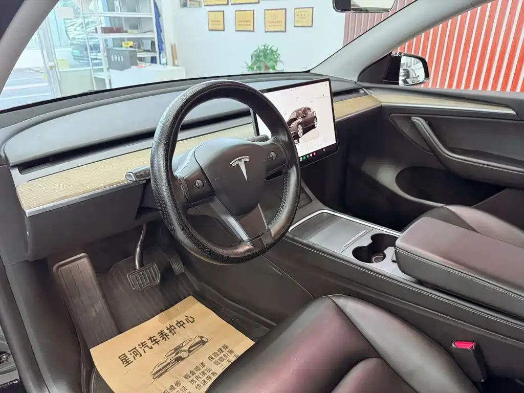 Tesla Model Y — миниатюра 15