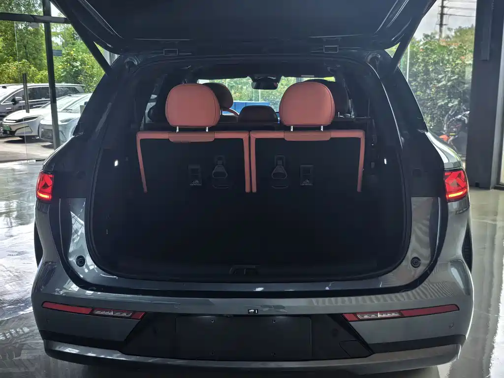 BYD Дон Л. — миниатюра 13
