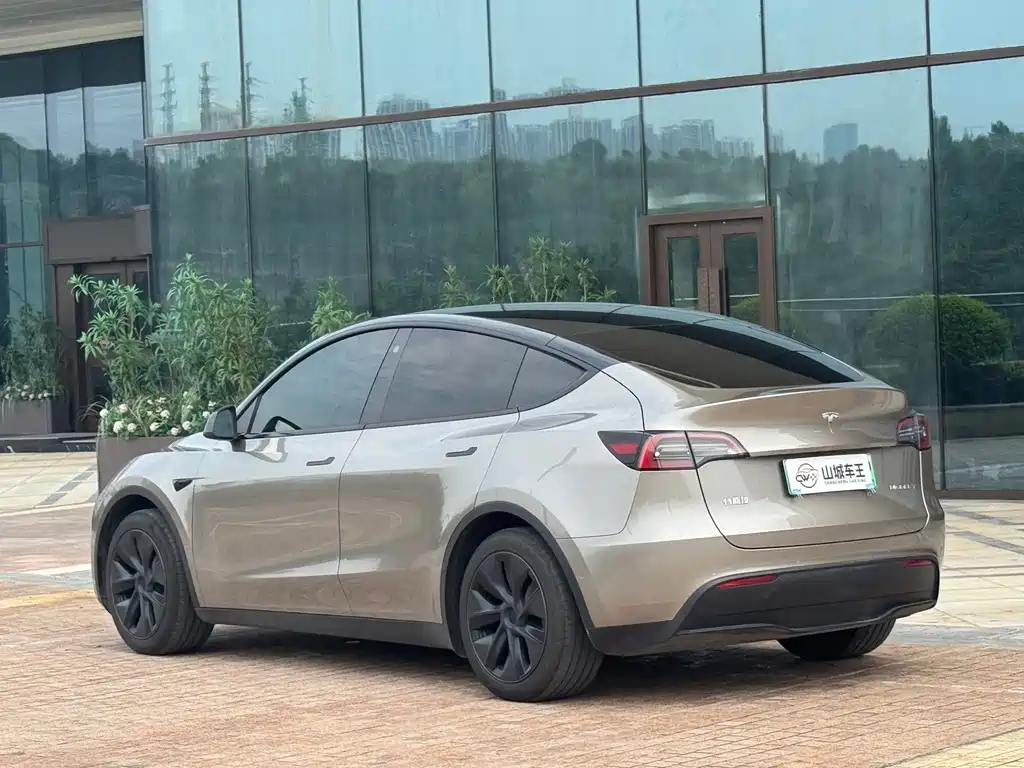 Tesla Model Y — миниатюра 15