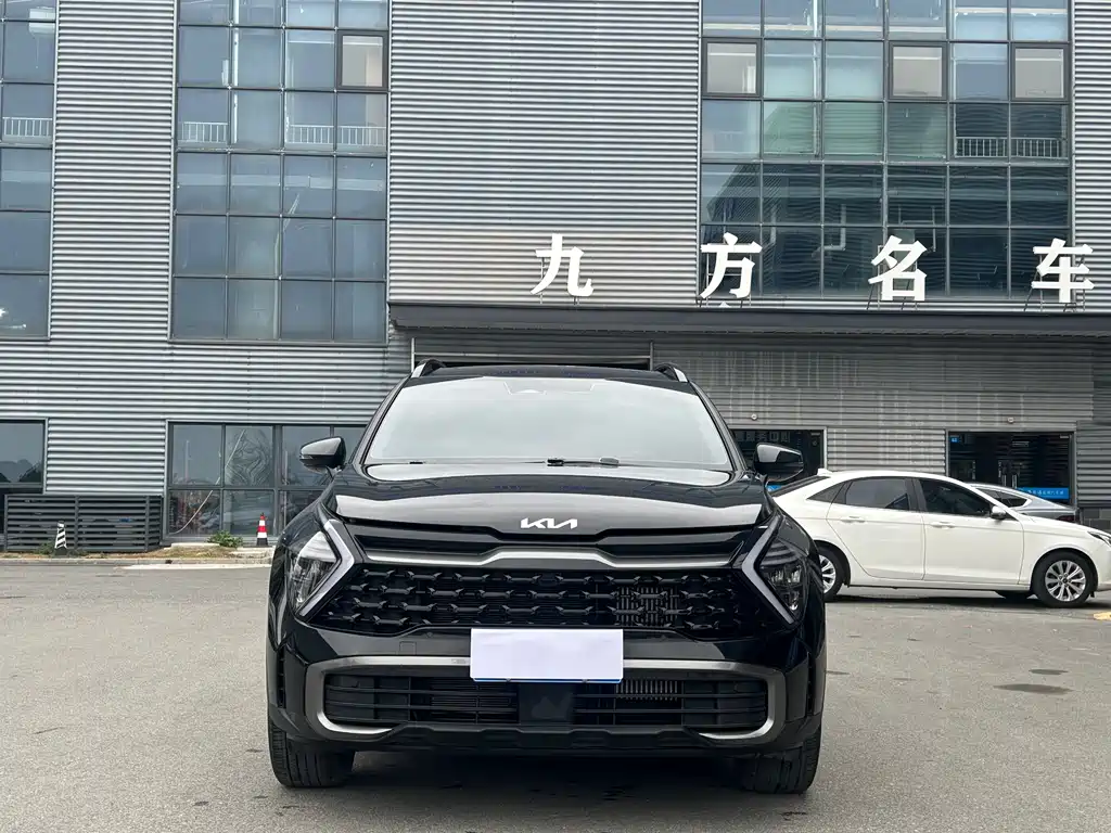 KIA LION PLATINUM EXPANDS THE WORLD