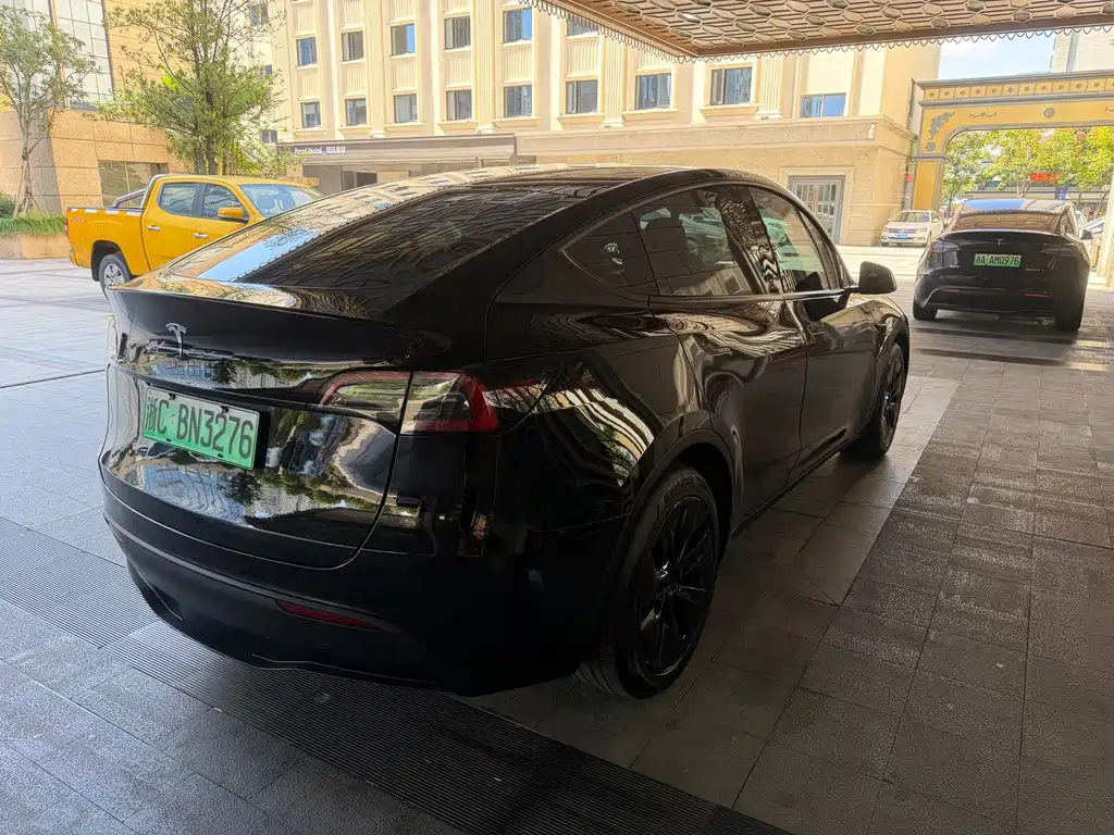 Tesla Model Y — миниатюра 10
