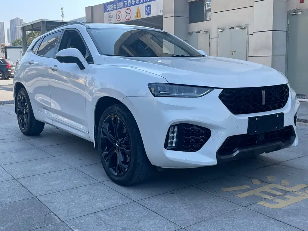 WEI PAI WEI BRAND VV7