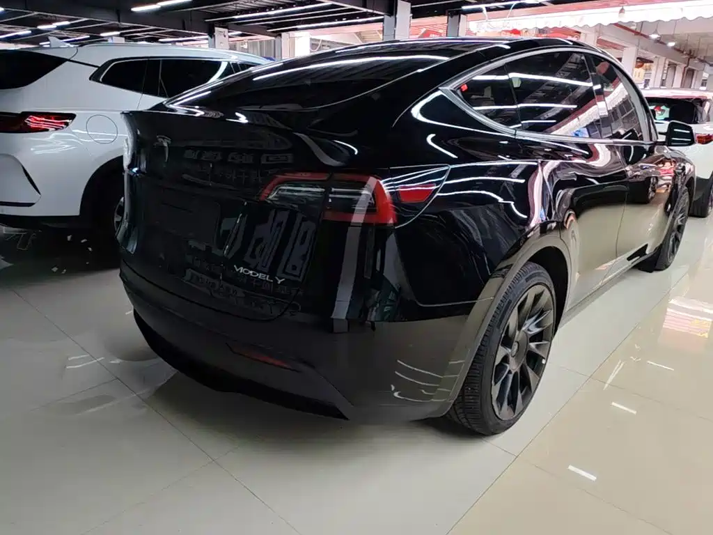 Tesla Model Y — миниатюра 7