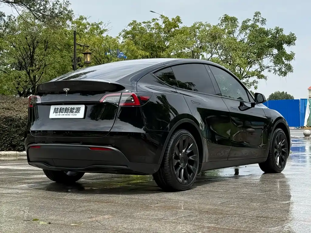Tesla Model Y — миниатюра 8