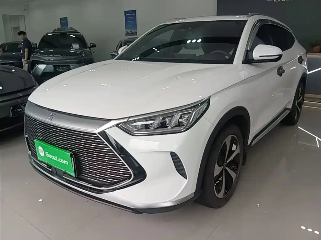 Byd PLUS New Energy 2021