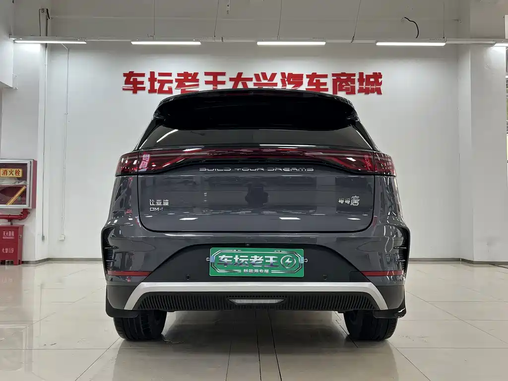BYD Tang New Energy — миниатюра 15