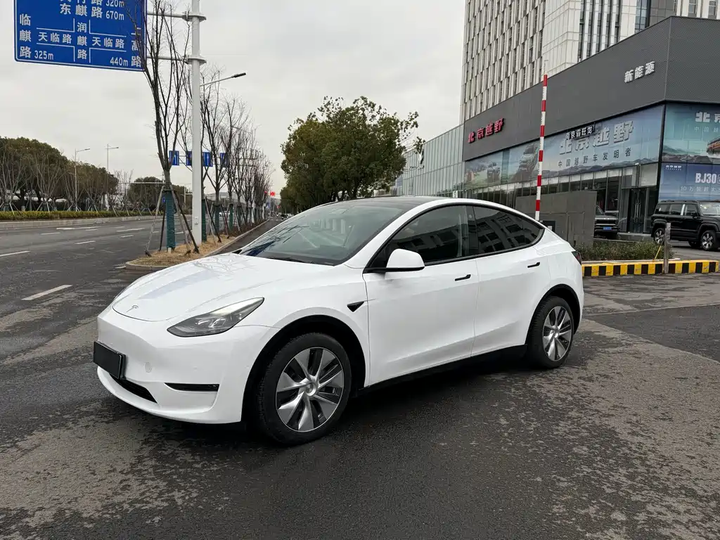 Tesla Model Y 2021