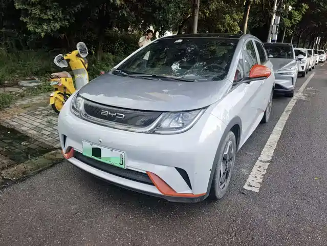 2022 BYD Dolphin