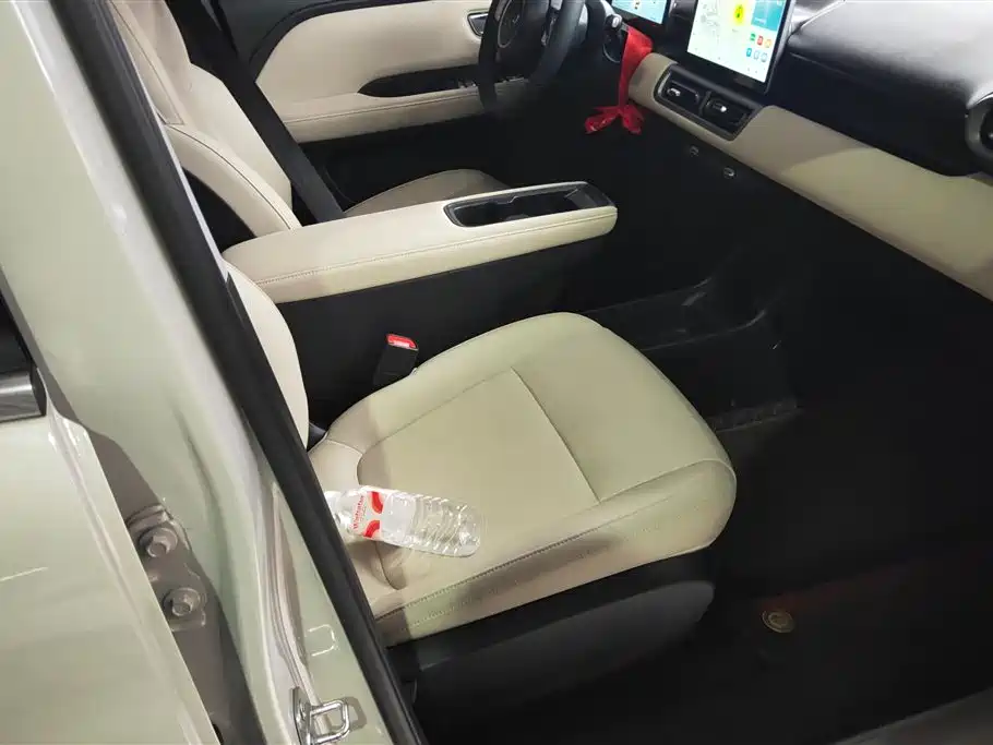Wuling BinguoPLUS PLUS 2024 330km мест