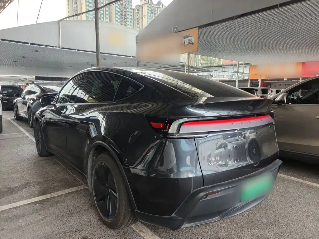 Tesla Model Y — миниатюра 5