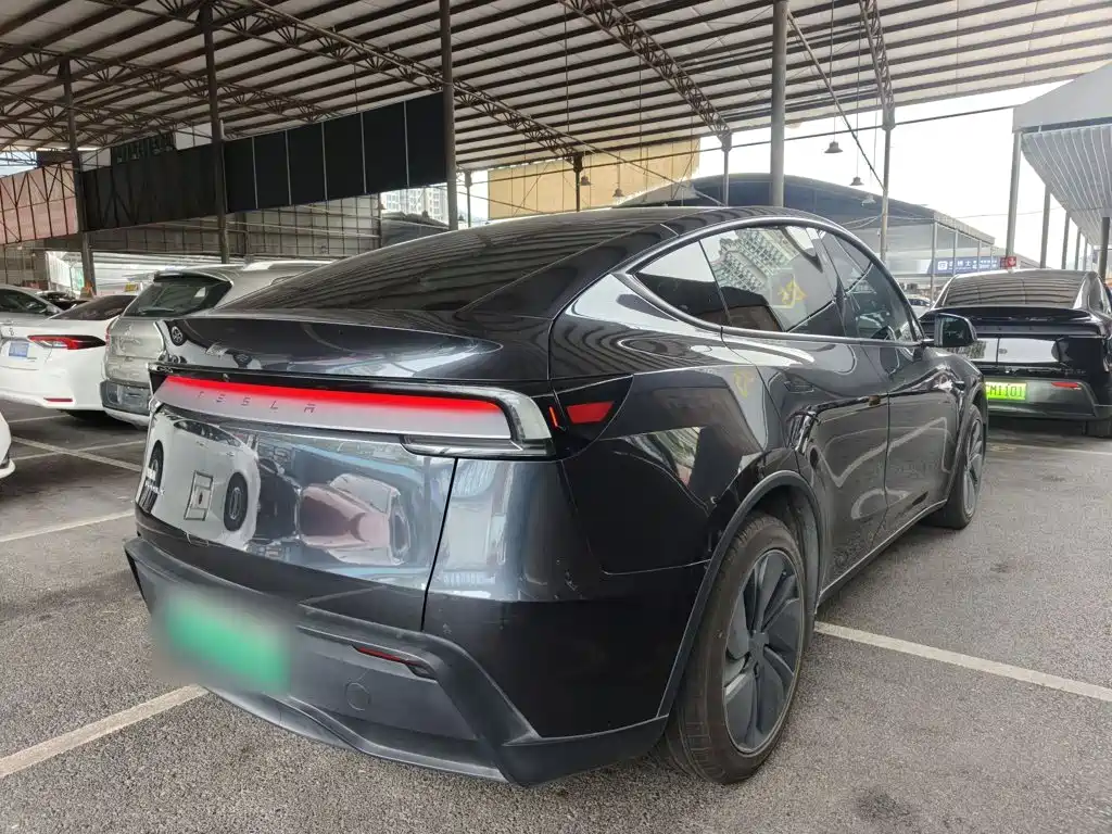 Tesla Model Y — миниатюра 7