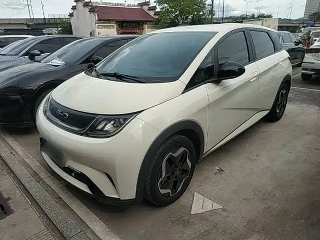 2024 BYD Dolphin