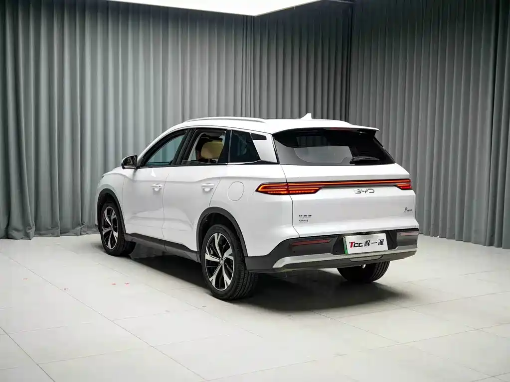 BYD Pro New Energy — миниатюра 10