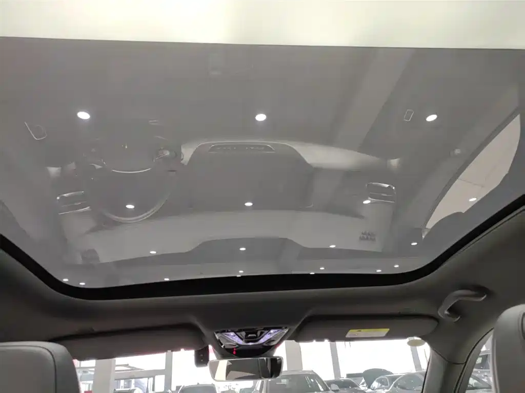 ARCFOX EXTREME FOX POLAR FOX ALPHA S