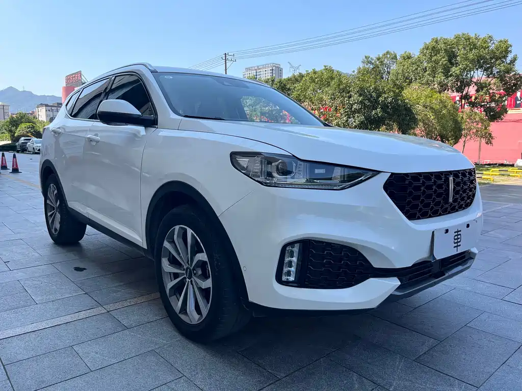 Wey Wey VV6 — миниатюра 3