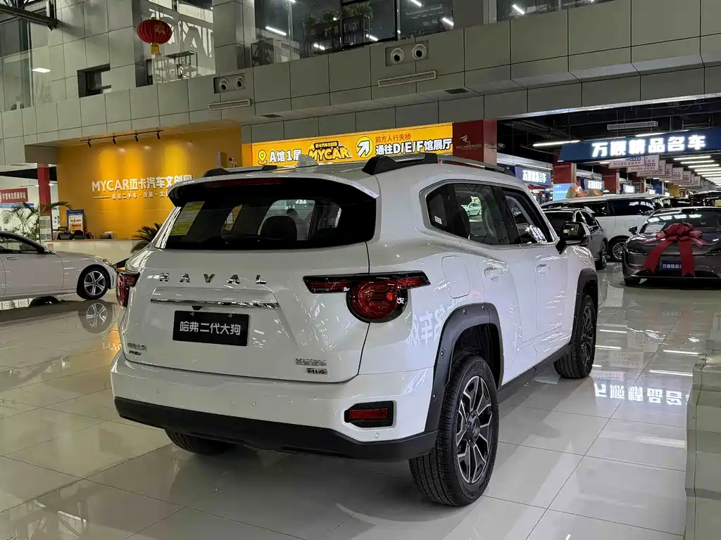 HAVAL SECOND GENERATION BIG DOG NEW ENERGY