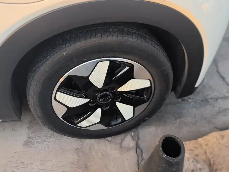 BYD Dolphin — миниатюра 6