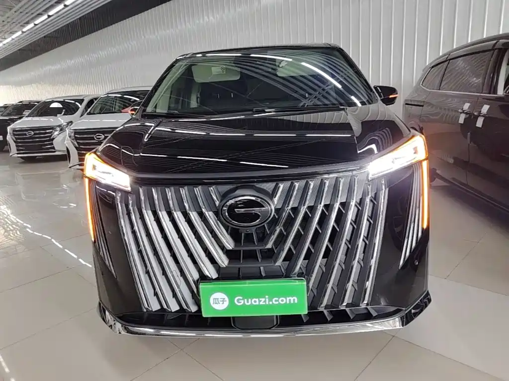 GAC Motor Trumpchi M8 — миниатюра 3