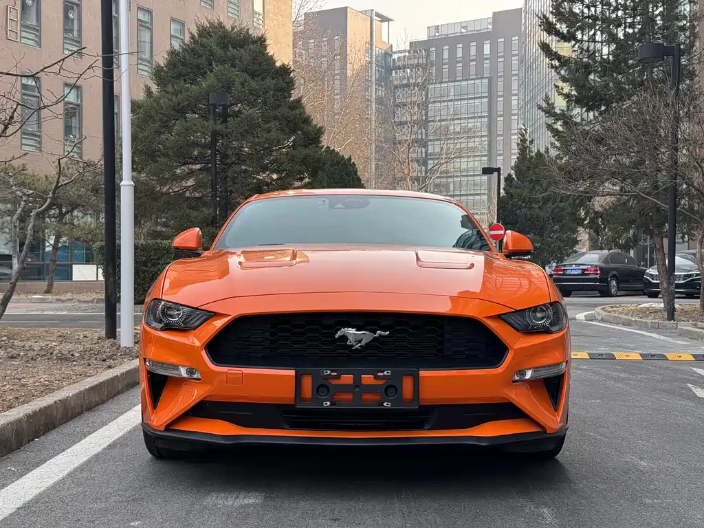 FORD MUSTANG