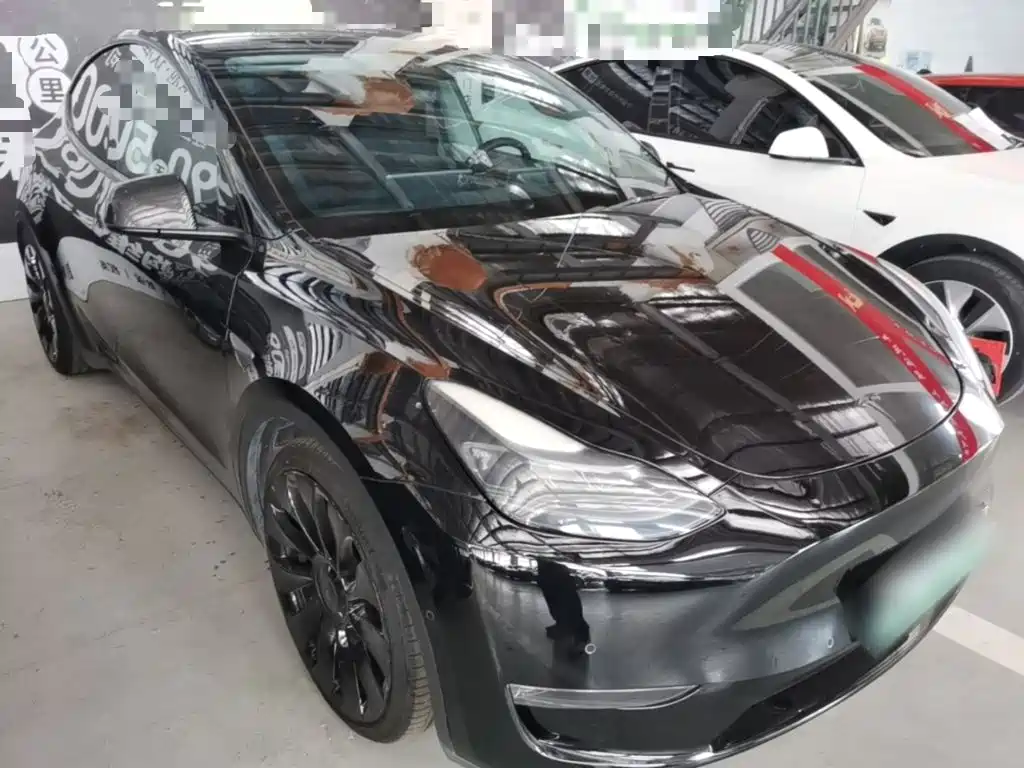 Tesla Model Y — миниатюра 4