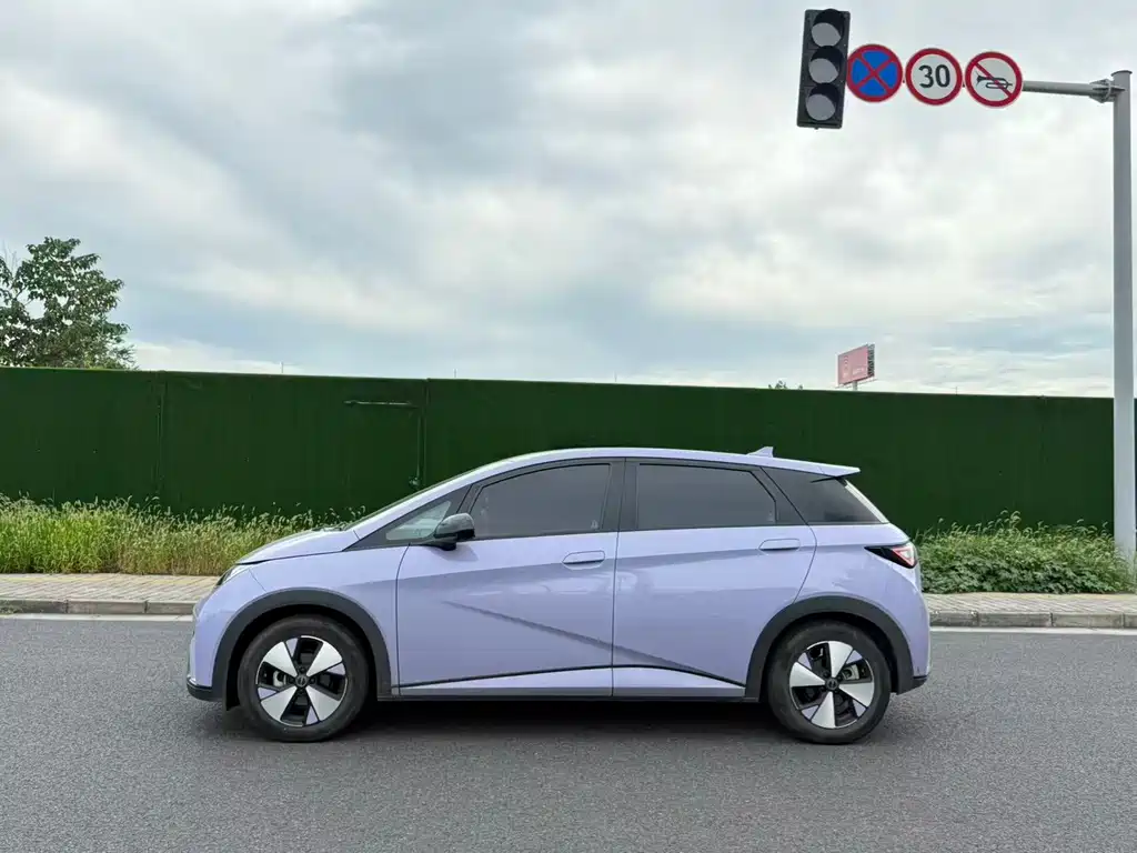 BYD Dolphin — миниатюра 7