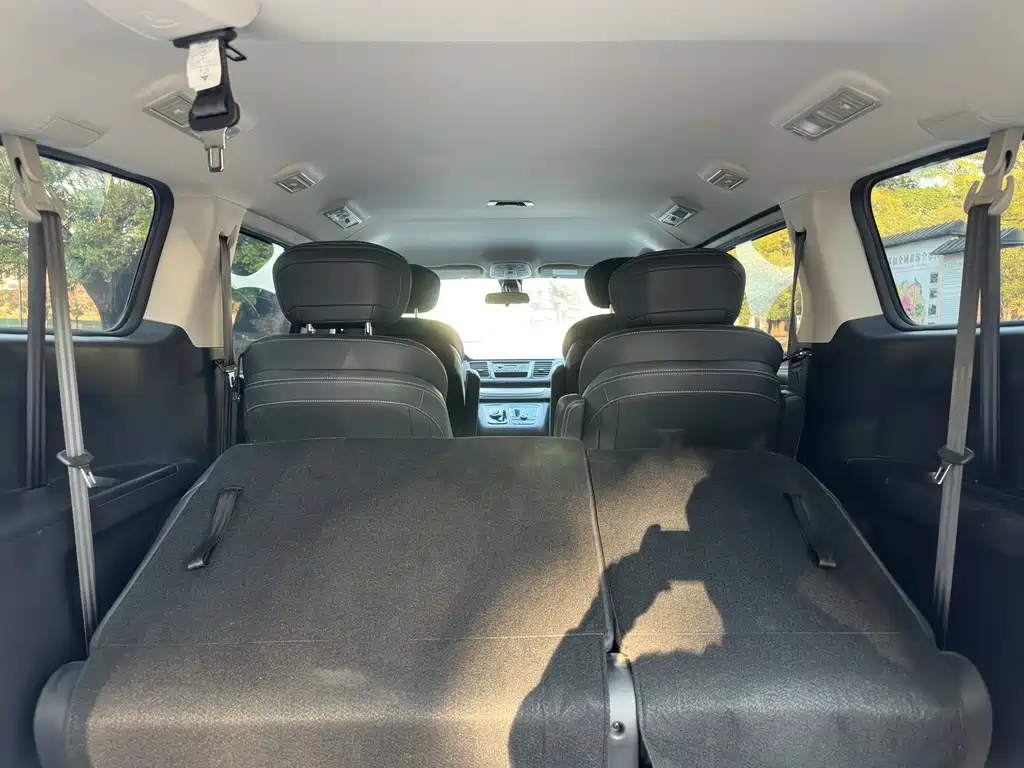 SAIC MAXUS CHASE G20