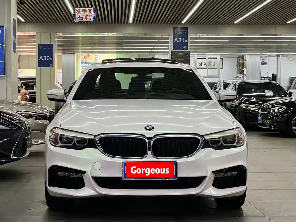 BMW 5 Series 5 2018 530Li Lead M Sport