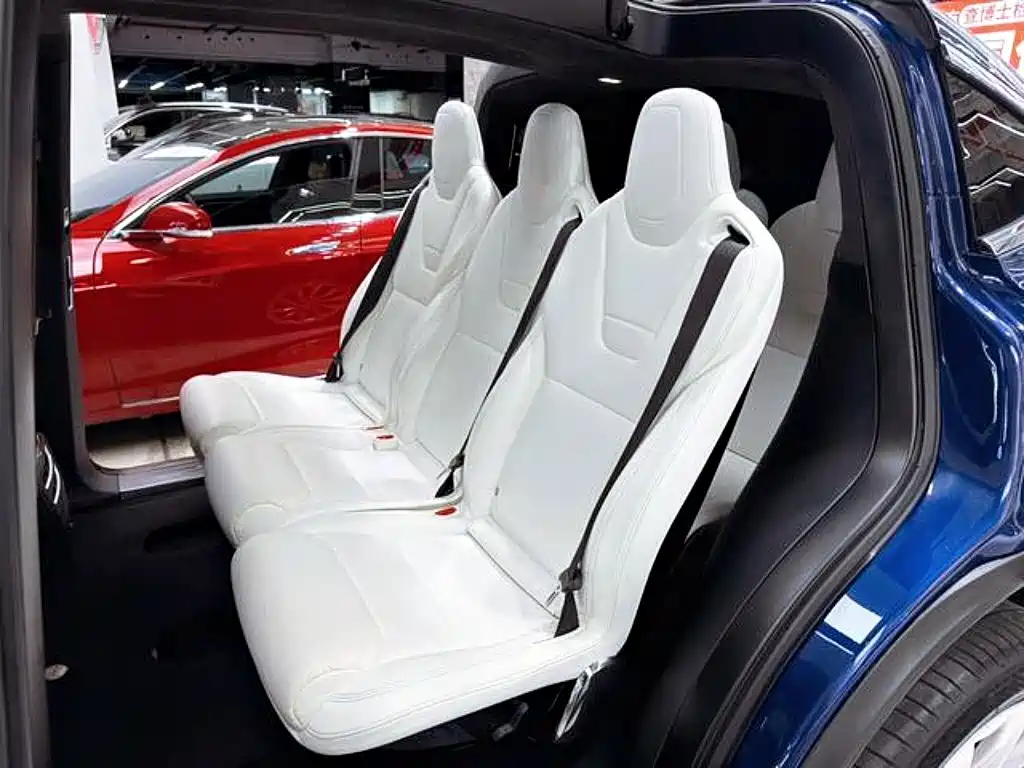 Tesla Model X — миниатюра 10