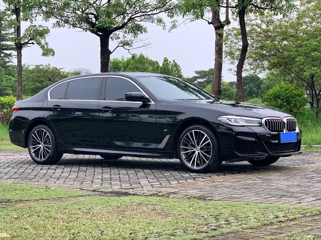 BMW 5 Series — миниатюра 3
