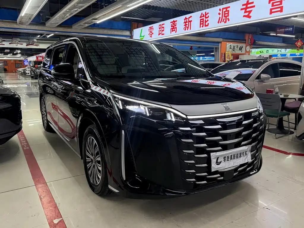 BYD Xia — миниатюра 3