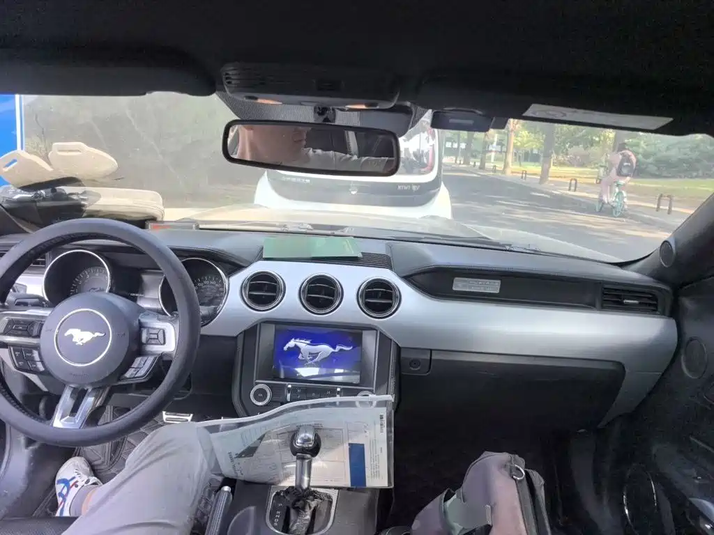 Ford Mustang — миниатюра 10