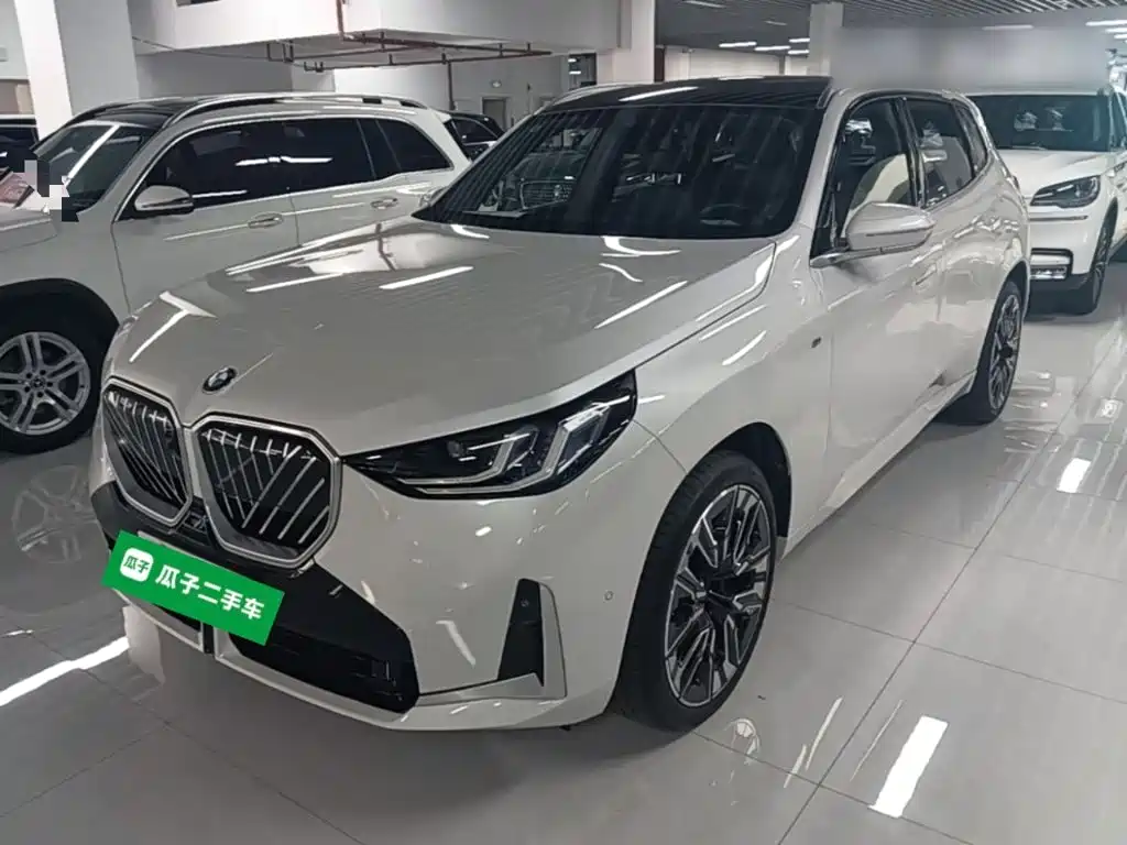 BMW X3 — миниатюра 2