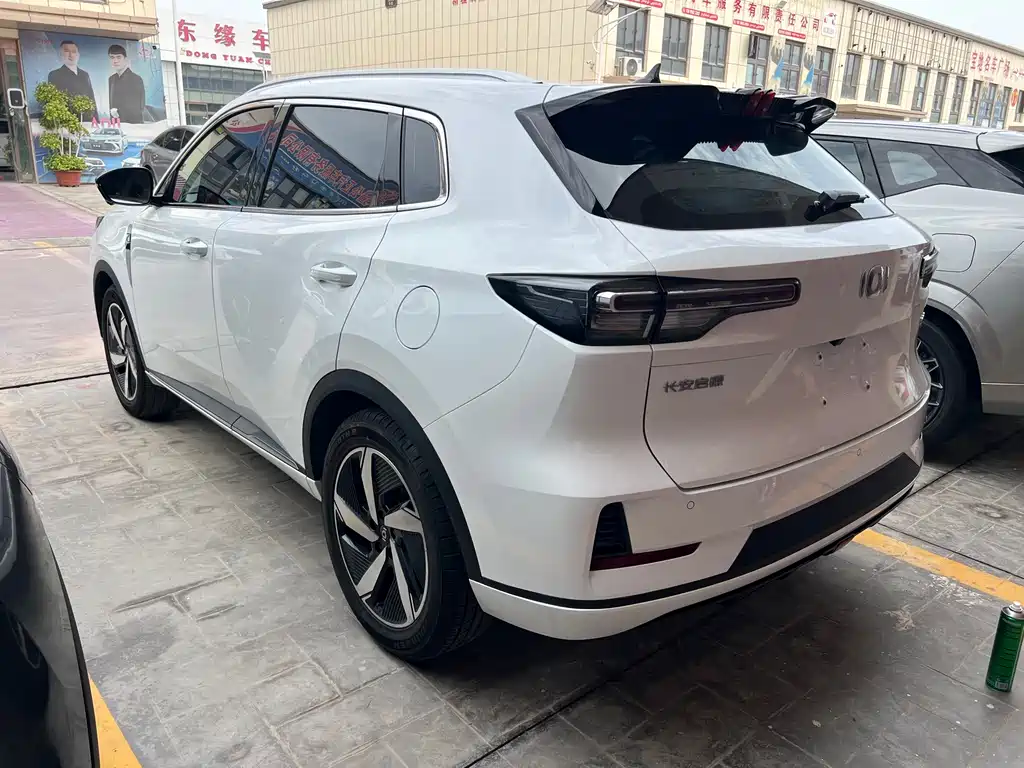 Qiyuan Чанг Ан Кай Q05 классика. — миниатюра 7