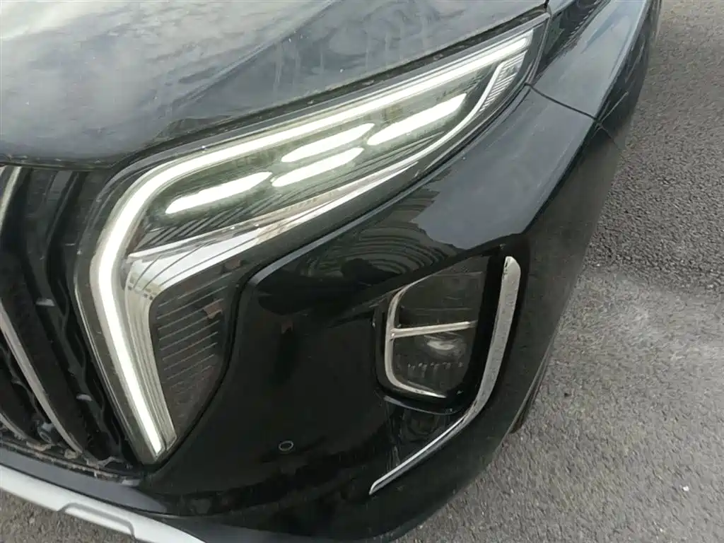Hongqi HS7 PHEV — фотографии объявления, Фото 24