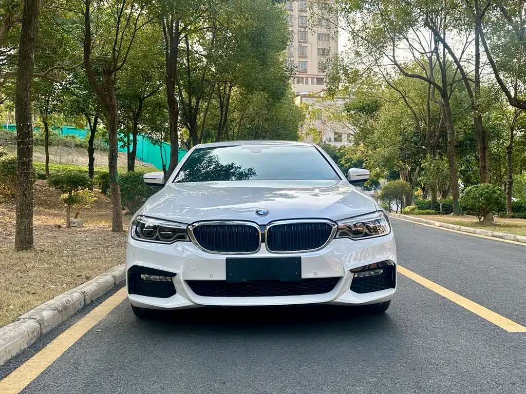 BMW 5 SERIES