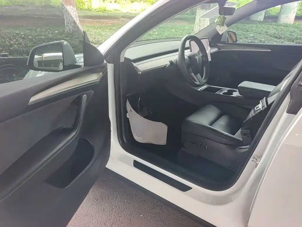 Tesla Model Y — миниатюра 16