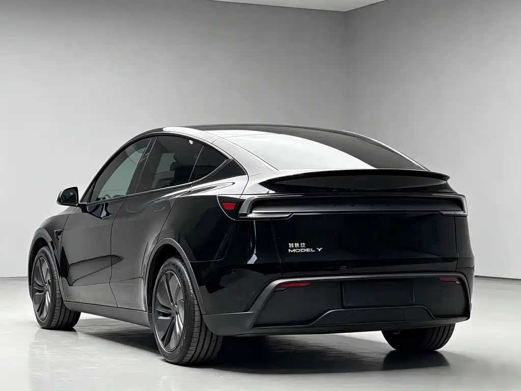 Tesla Model Y — миниатюра 7