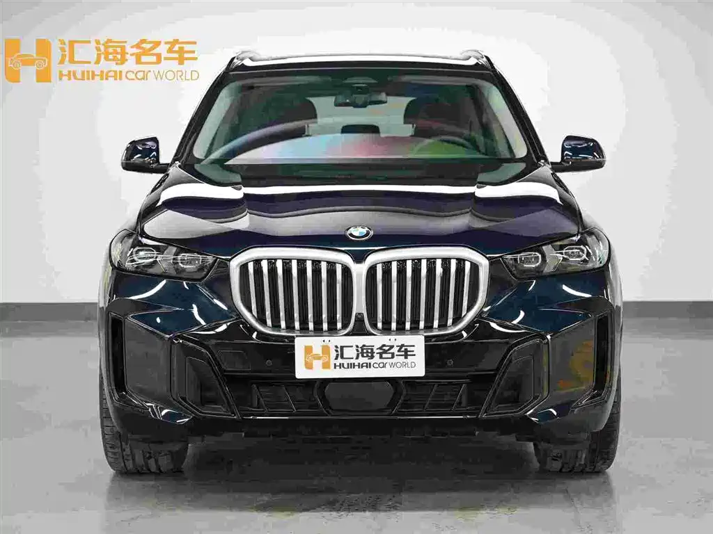 BMW X5 — миниатюра 2