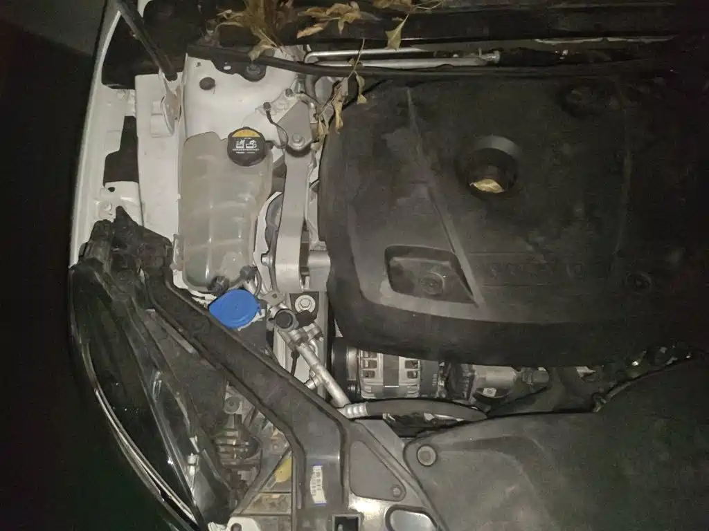 Volvo V40 — миниатюра 21