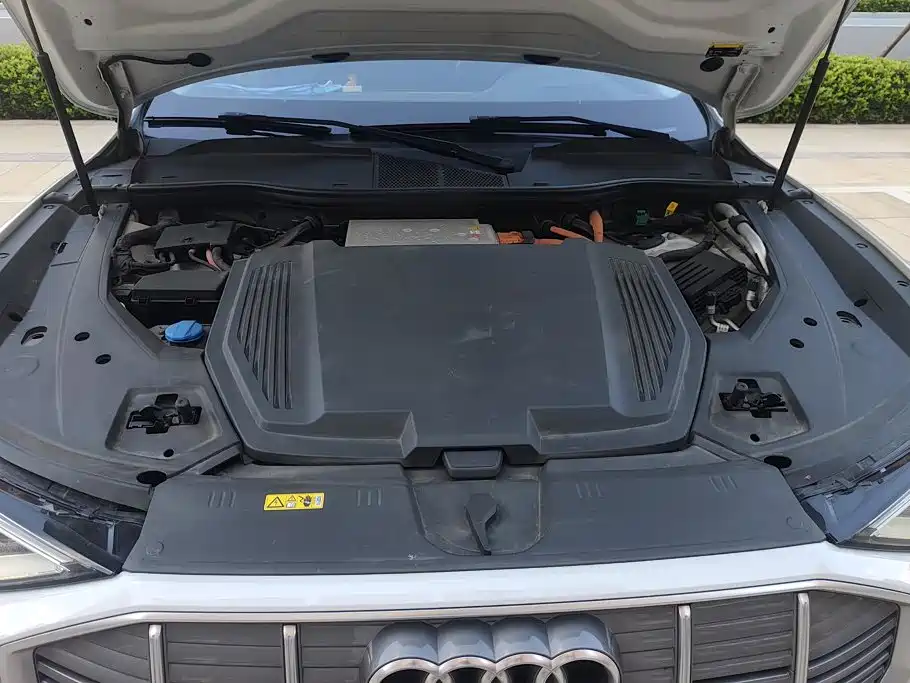 Audi e-tron (Import) — миниатюра 10