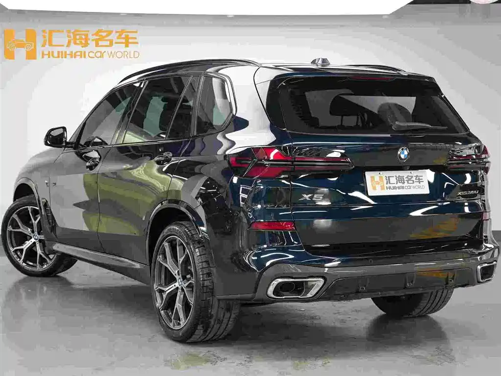 BMW X5 — миниатюра 4
