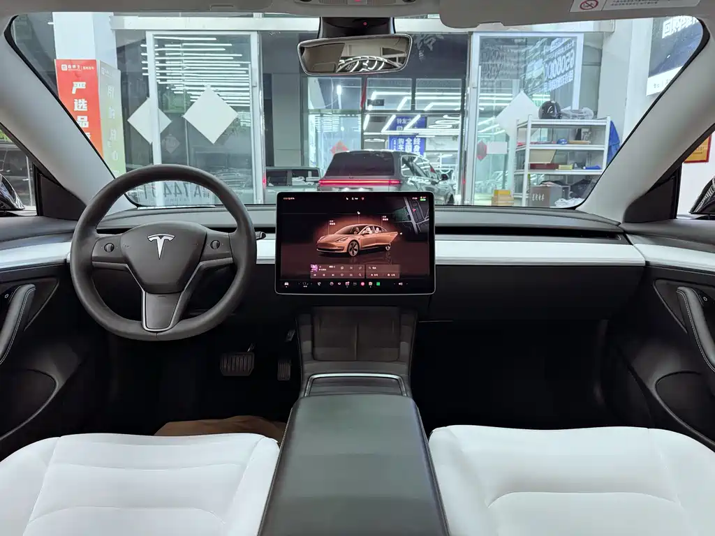 Tesla Model 3 — миниатюра 11
