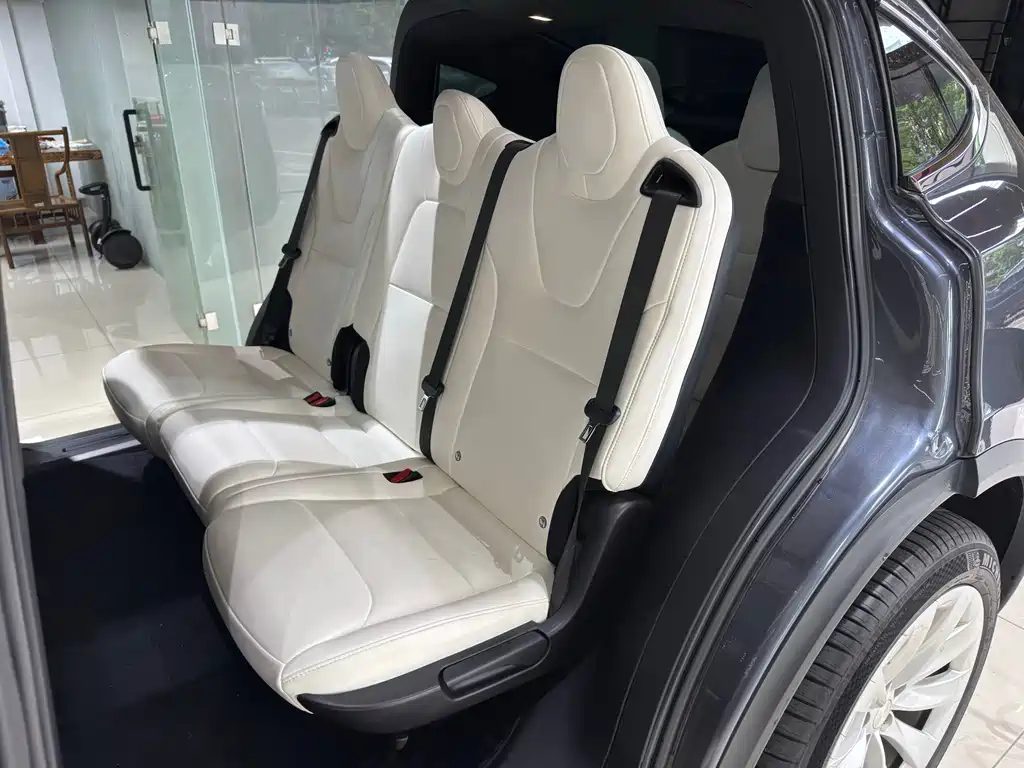 Tesla Model X — миниатюра 9
