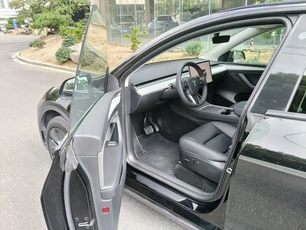 Tesla Model Y — миниатюра 14
