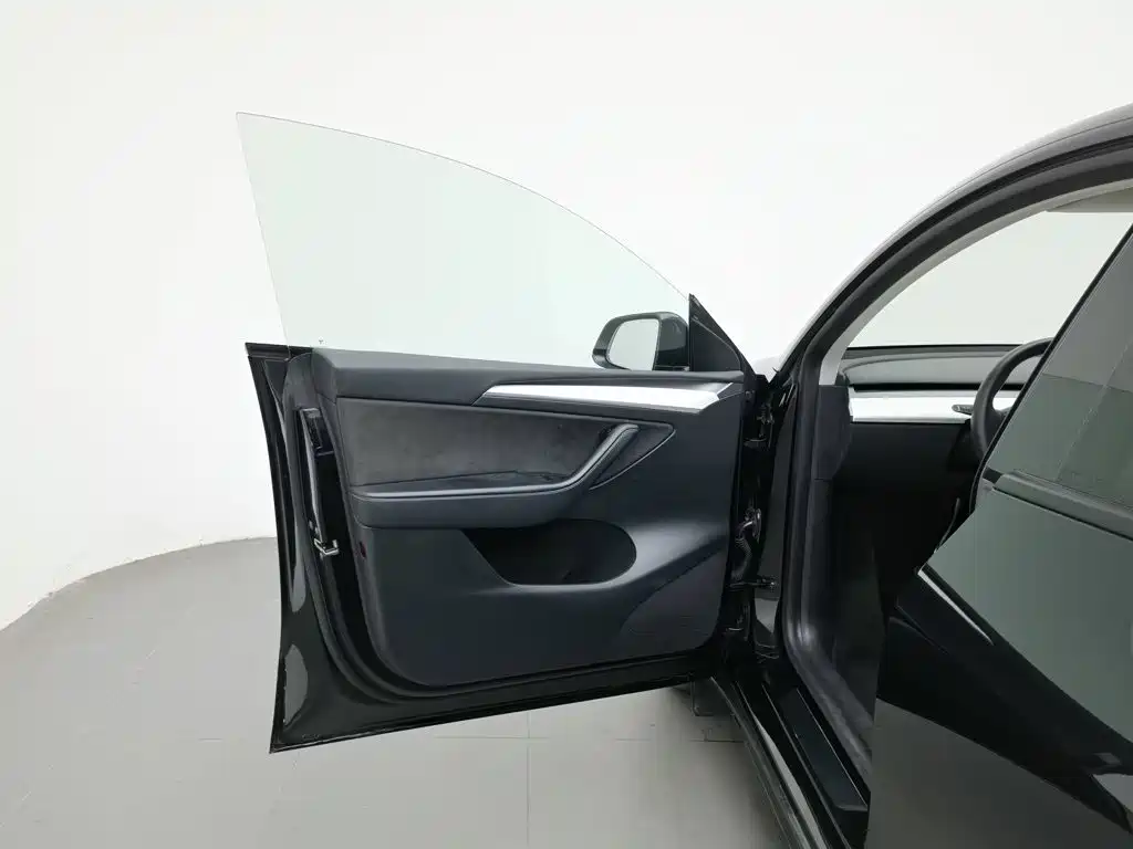Tesla Model Y — миниатюра 8