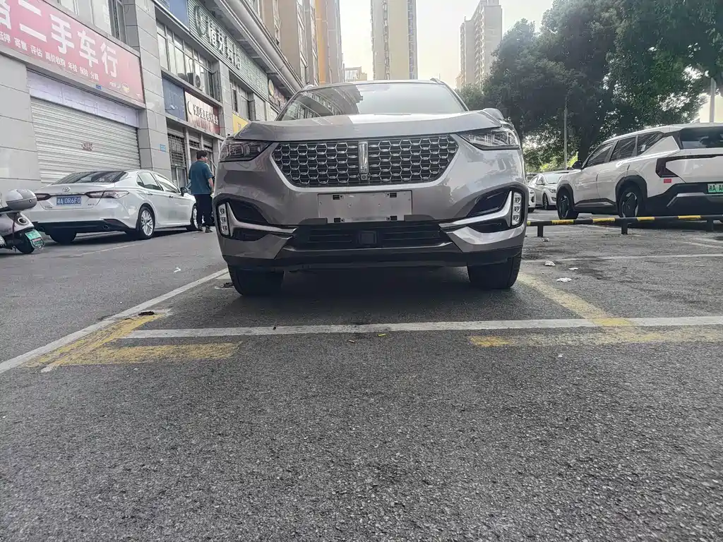 Wey Wey VV6 — миниатюра 2