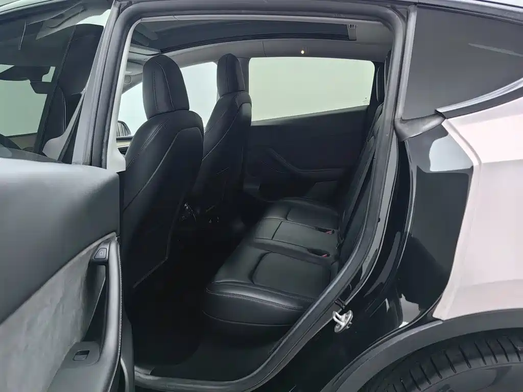 Tesla Model Y — миниатюра 15