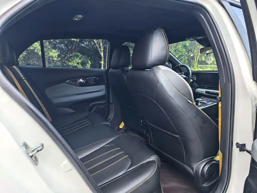 GAC Motor Shadow Leopard — миниатюра 5